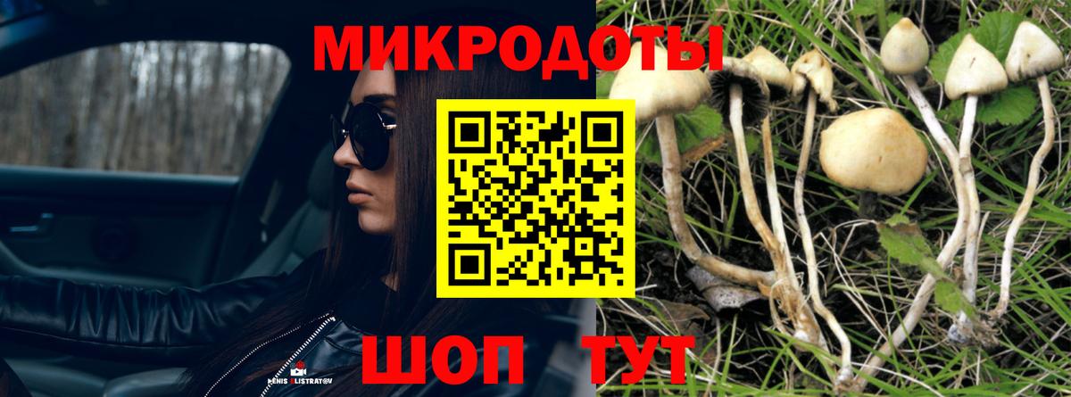 Псилоцибиновые грибы прущие грибы  Вход с VPN  Вязьма 